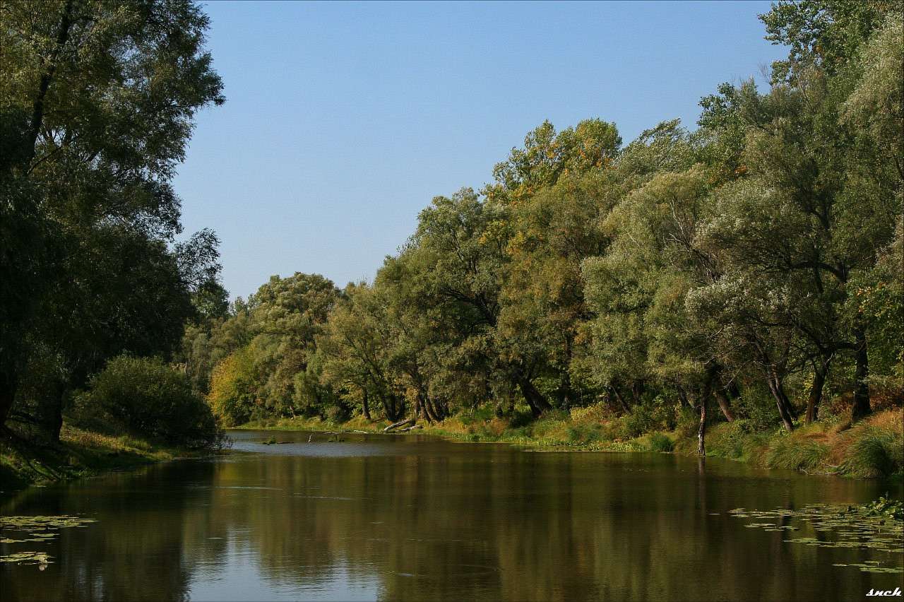 Один день в Острі - Остер