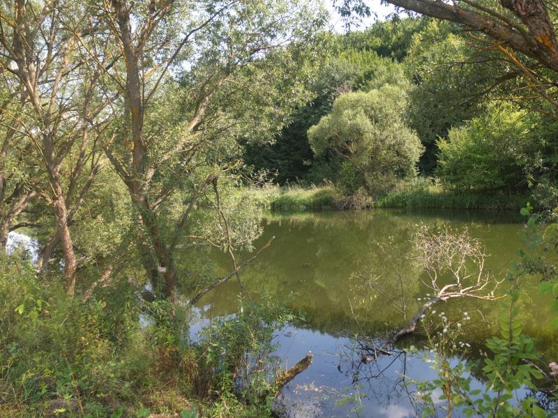 Місто на Збручі - Сатанов