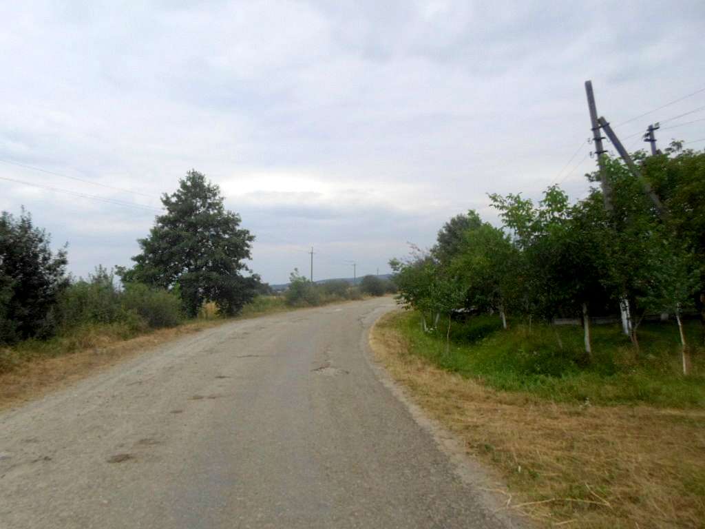 Краєвид - Naditychi