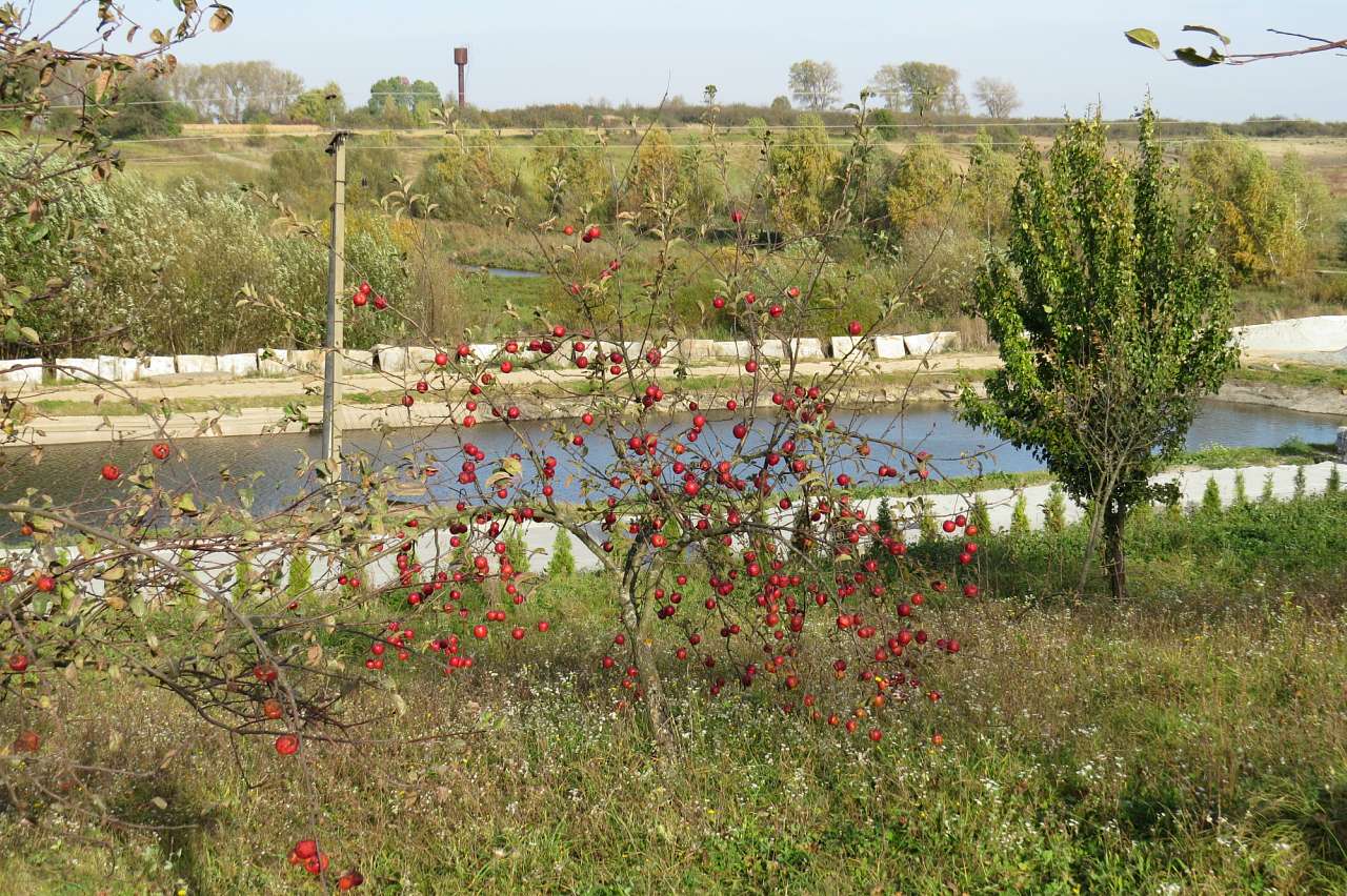 ЛИПКИ. МОНАСТИР.Осінь 2014 - Липки