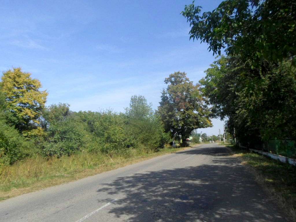 краєвид - Лисятичі