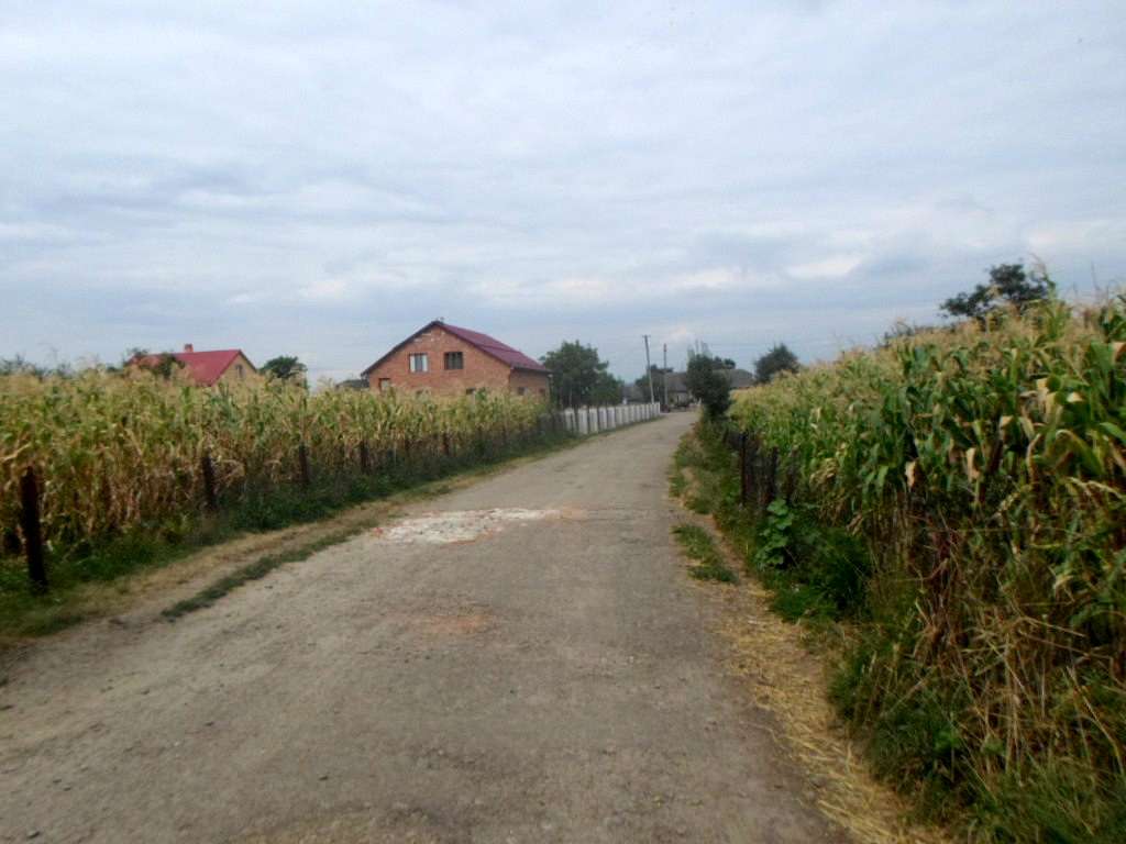 Краєвид - Naditychi