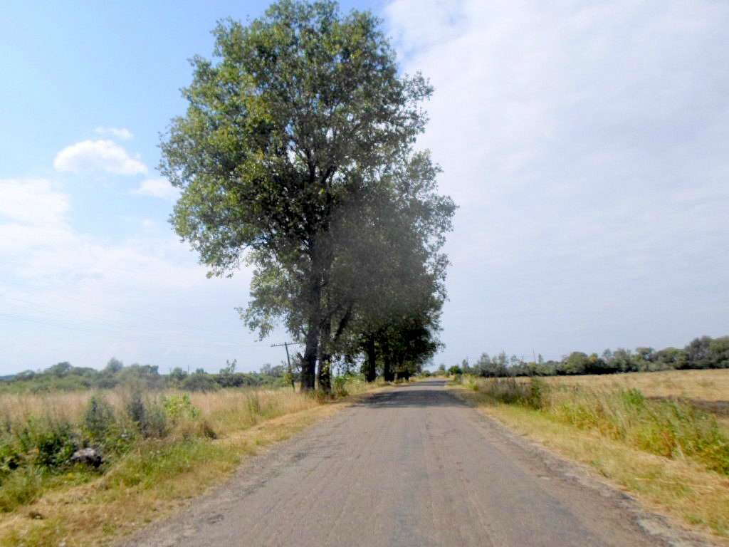 Краєвид - Надітичі