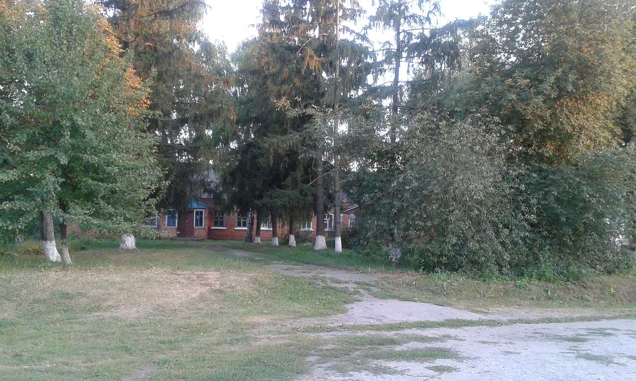 Життя  села - Сакуниха