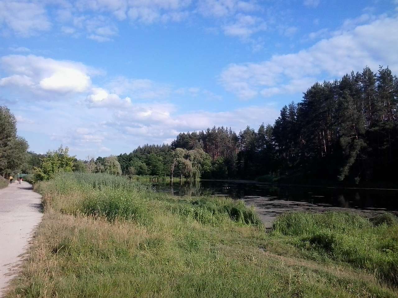 Неграшівський Неграш - Неграши
