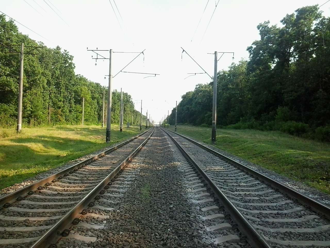 Тарасівка - Тарасівка