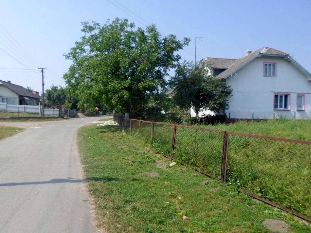 Краєвид - Пукеничі