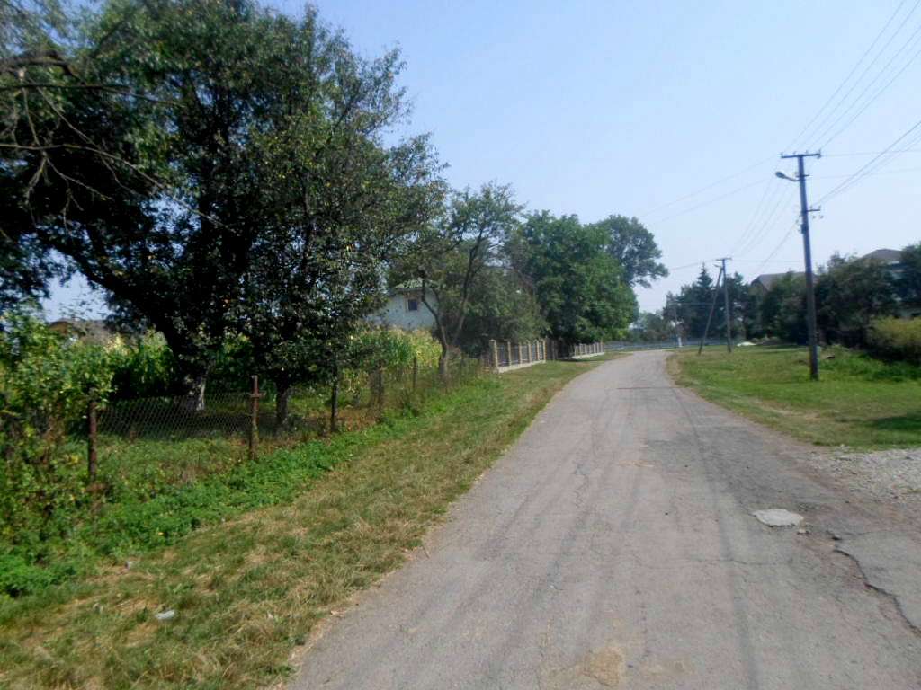 Краєвид - Пукеничі