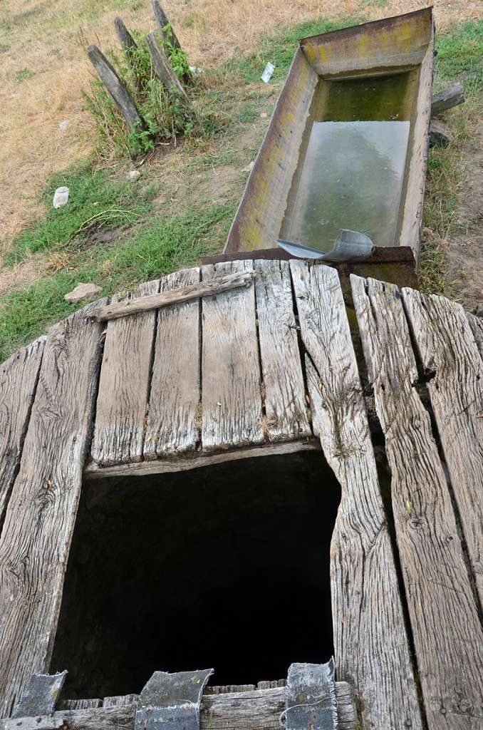 Шпичинці літом 2015