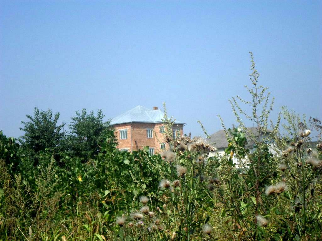 Краєвид - Пукеничі