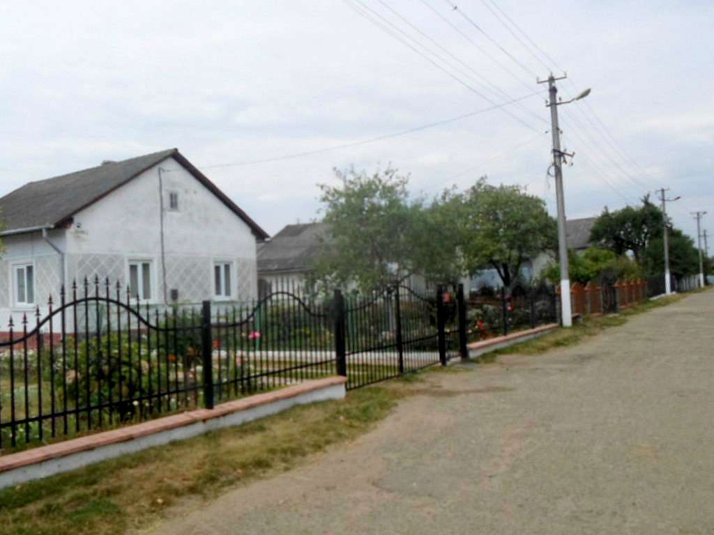 Краєвид - Naditychi