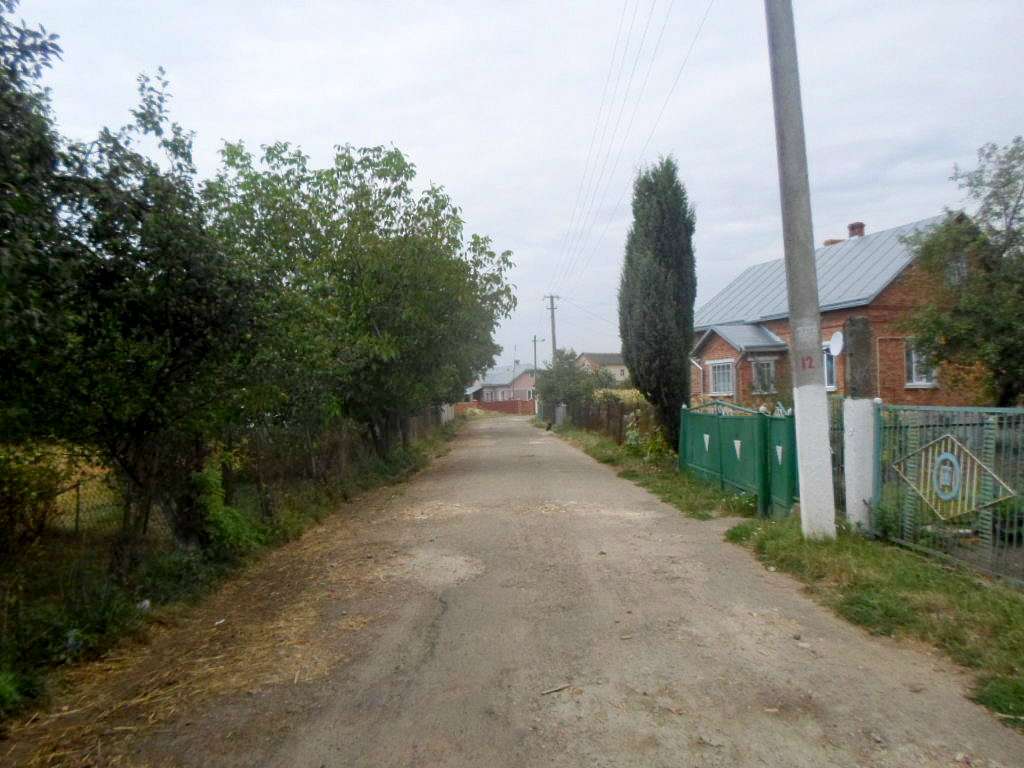 Краєвид - Naditychi