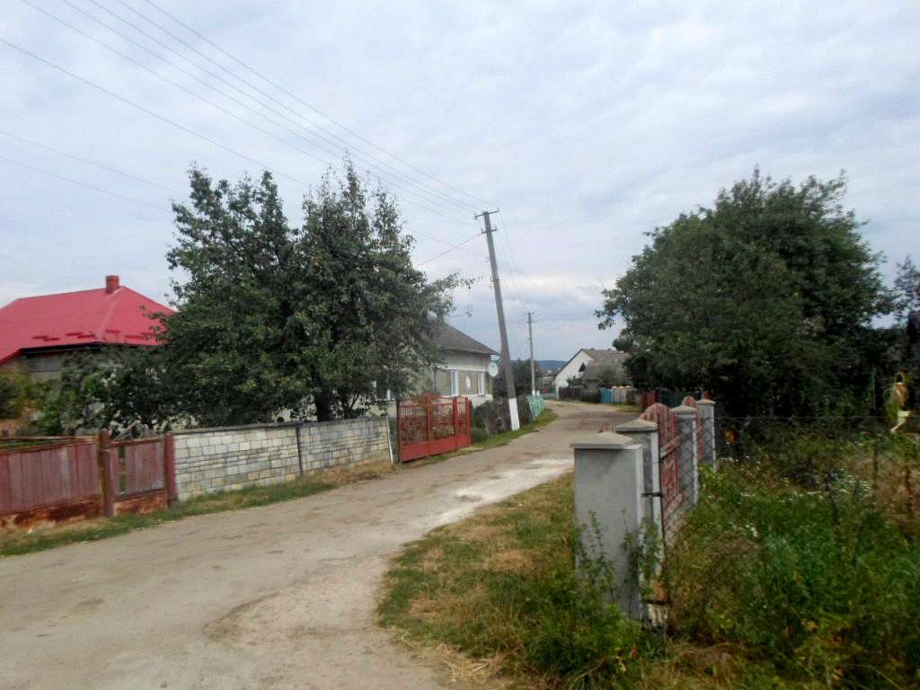 Краєвид - Naditychi