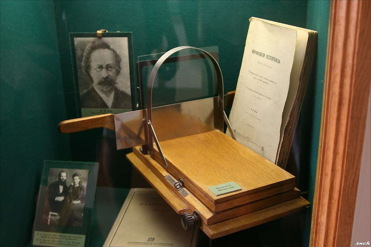 Один день в Острі - Остер