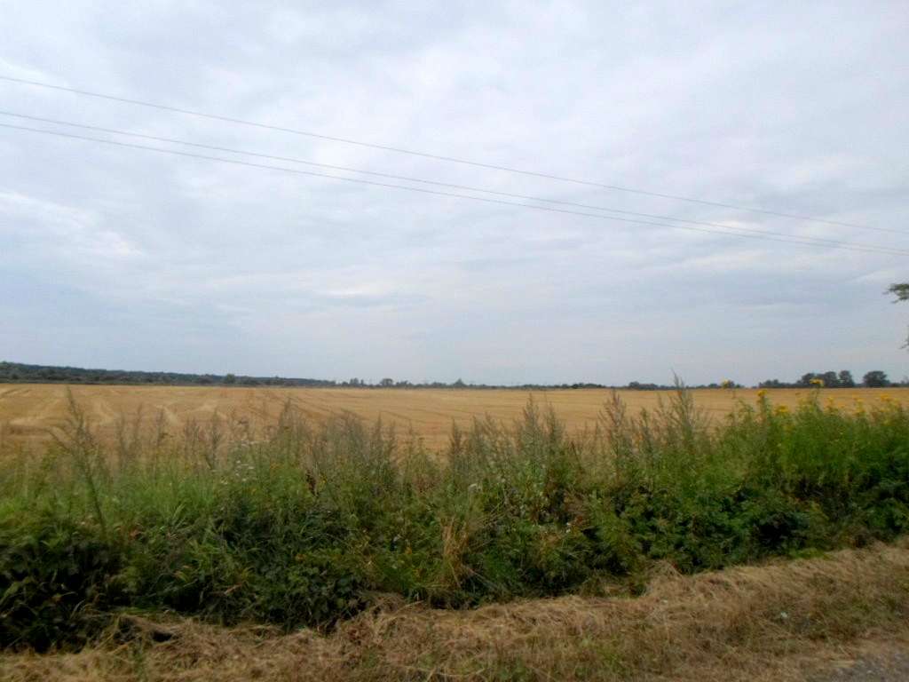 Краєвид - Naditychi
