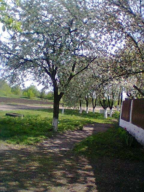 Життя  села - Сакуниха