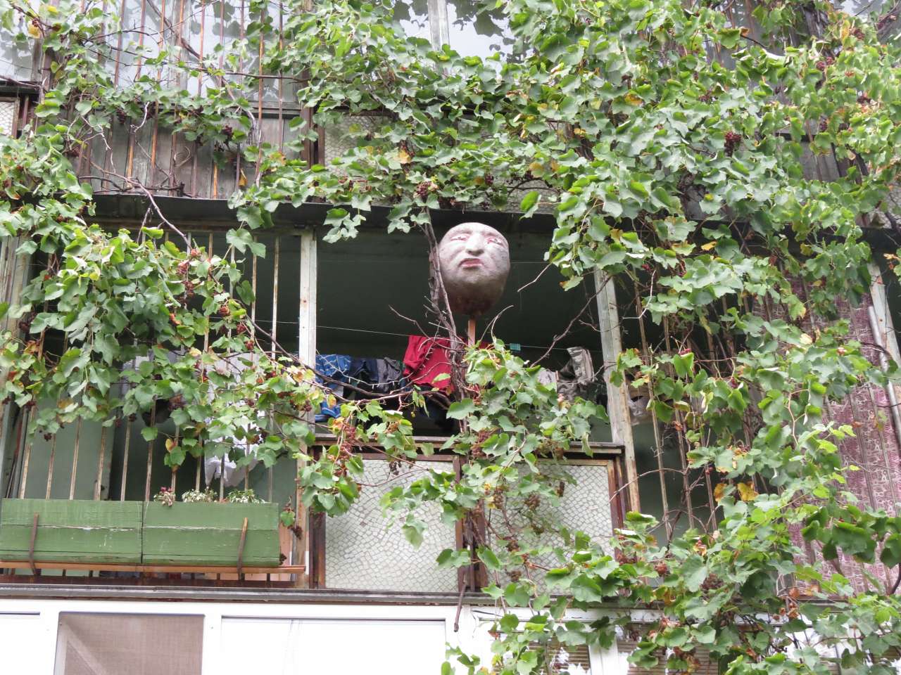 Один день в Острі - Остер