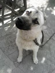 Славне з panoramio.com