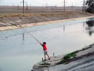 Ленино - Последние фото