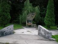 Шепарівці з panoramio.com