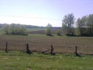 Безкровне з panoramio.com