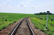 Осикове з panoramio.com