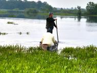 Дольськ з panoramio.com