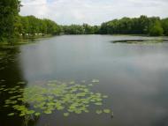 Ободівка - Останні фото