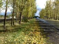 Шабельне з panoramio.com