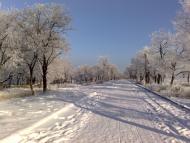 Брянка з panoramio.com (ч.2)