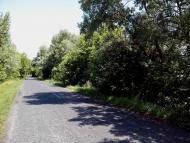 Приліпка з panoramio.com