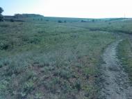 Копані з panoramio.com