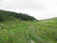 Квіткове - Останні фото