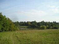 Лука з panoramio.com