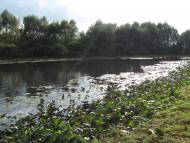 Шестовиця з panoramio.com