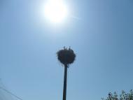 Печеніги з panoramio.com