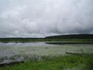 Коротченково - Последние фото