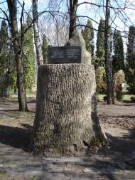 Григорівка - Останні фото