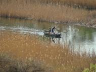 Зуївка з panoramio.com