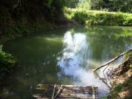 Лужки з panoramio.com