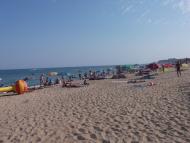 Грибівка з panoramio.com