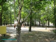 Брилівка з panoramio.com