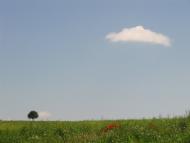 Маркова з panoramio.com