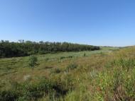 Юр'ївка з panoramio.com