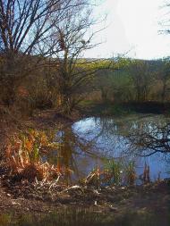 Верхоріччя з panoramio.com