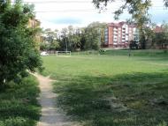 Чортків з panoramio.com