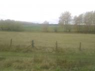 Безкровне з panoramio.com