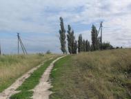 Грушки з panoramio.com