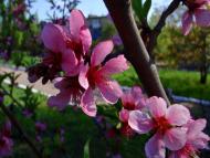 Дзержинськ з panoramio.com