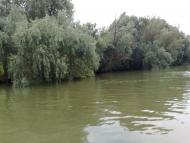 Вилкове з panoramio.com (ч.2)